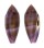 CONIDAE CONUS GRANUM shell