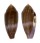 CONIDAE CONUS GRANUM shell