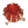 SPONDYLIDAE SPONDYLUS FOLIACEUS shell