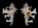 MURICIDAE HOMALOCANTHA ZAMBOI shell