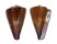 CONIDAE CONUS VEXILLUM shell