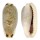 CYPRAEIDAE ERRONEA CYLINDRICA LENELLA shell