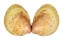 CARDIIDAE LAEVICARDIUM CLARIONENSE shell