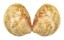 CARDIIDAE LAEVICARDIUM CLARIONENSE shell