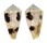 CONIDAE CONUS VARIUS shell