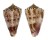 CONIDAE CONUS SPIROFILIS shell