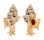 MURICIDAE MARCHIA MARTINETANUS FENESTRATUS shell