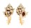 MURICIDAE MARCHIA MARTINETANUS FENESTRATUS shell