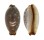 CYPRAEIDAE STAPHYLEA LIMACINA shell