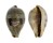 CYPRAEIDAE ERRONEA PYRIFORMIS shell