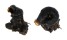 VERMETIDAE SERPULORBIS COLUBRINUS shell