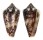 CONIDAE CONUS LOCUMTENENS shell