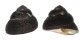 TROCHIDAE CHLOTOSTOMA ARGYROSTOMA shell