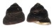TROCHIDAE CHLOTOSTOMA ARGYROSTOMA shell