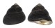 TROCHIDAE CHLOTOSTOMA ARGYROSTOMA shell