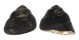 TROCHIDAE CHLOTOSTOMA ARGYROSTOMA shell