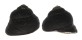 TROCHIDAE CHLOTOSTOMA ARGYROSTOMA shell