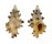 MURICIDAE ATTILIOSA NODULIFERA shell