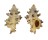 MURICIDAE ATTILIOSA NODULIFERA shell