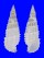CERITHIIDAE RHINOCLAVIS ASPERA shell