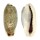 CYPRAEIDAE ERRONEA CYLINDRICA LENELLA shell