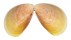 CARDIIDAE LAEVICARDIUM ATTENUATUM shell