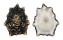 LOTTIIDAE PATELLOIDA SACCHARINA LANX shell
