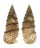 CERITHIIDAE RHINOCLAVIS SINENSIS shell