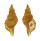 RANELLIDAE MONOPLEX GEMMATUS shell
