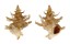 CORALLIOPHILIDAE BABELOMUREX CRISTATUS shell