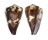 CONIDAE CONUS VEXILLUM shell
