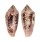 CONIDAE CONUS LEGATUS shell