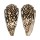 CONIDAE CONUS BANDANUS shell