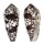 CONIDAE CONUS EPISCOPATUS shell