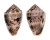 CONIDAE CONUS CORONATUS shell