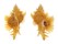 MURICIDAE CHICOREUS CELINAMARUMAI shell