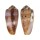 CONIDAE CONUS CIRCUMCISUS shell