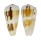 CONIDAE CONUS MAGUS RAPHANUS shell