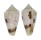CONIDAE CONUS VARIUS shell