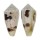 CONIDAE CONUS VARIUS shell