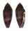 CONIDAE CONUS GRANUM shell