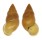 LANDSNAIL HAINESIA CROCEA shell