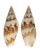 MITRIDAE NEOCANCILLA CLATHRUS shell