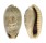 CYPRAEIDAE ERRONEA CAURICA DRACAENA shell