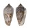 CONIDAE CONUS EUETRIOS shell