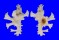 MURICIDAE HOMALOCANTHA ZAMBOI shell