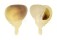 CORALLIOPHILIDAE RAPA RAPA shell