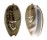 OLIVIDAE OLIVA BULBOSA FABAGINA shell