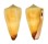 CONIDAE CONUS FERRUGINEUS shell