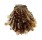 SPONDYLIDAE SPONDYLUS SINENSIS shell